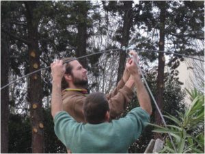 arche treille jardin nouveau