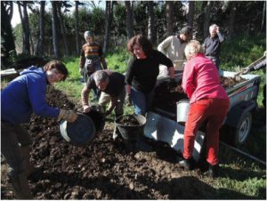 zone framboisiers jardin nouveau