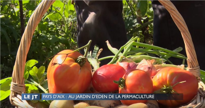 Un reportage de PROVENCE AZUR TV :  “Pays d’Aix : Au jardin d’Eden de la permaculture “